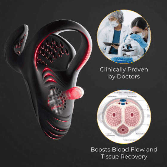 13 1 c14f303d fd43 431c 88a3 da6d645e5f5d